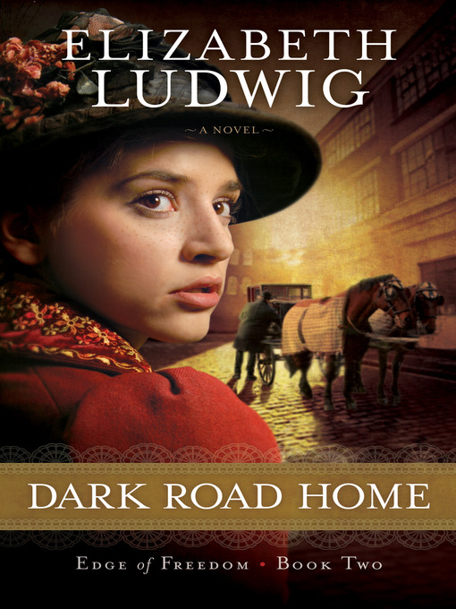 Title details for Dark Road Home by Elizabeth Ludwig - Available